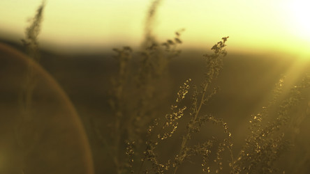 Similar image 22368023