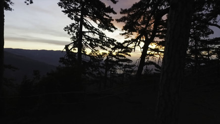 Similar image 22370574