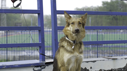 Similar image 22370739