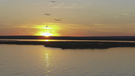 Similar image 22370902