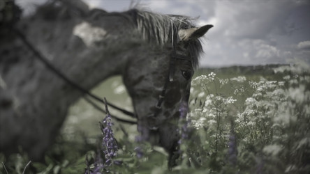 Similar image 22363373