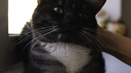 Similar image 22370309