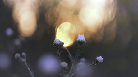 Similar image 22371263