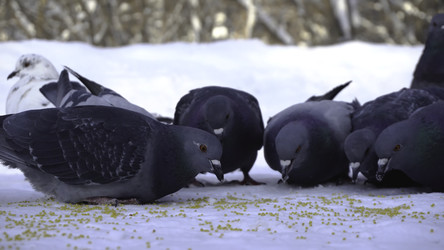 Similar image 22368455