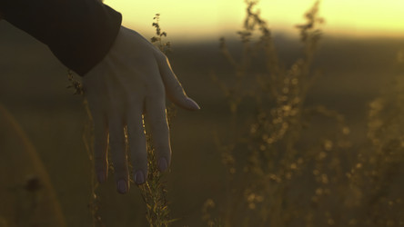 Similar image 22368605