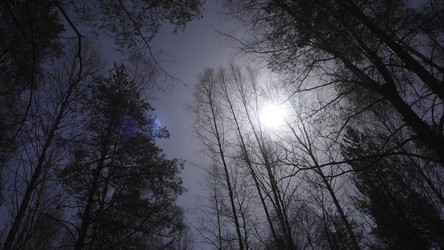 Similar image 22368785