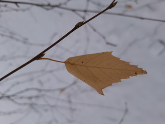 Similar image 22350588