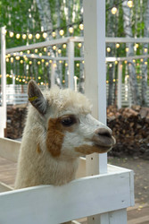 Similar image 22350466