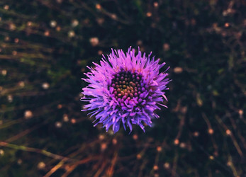 Similar image 22350460