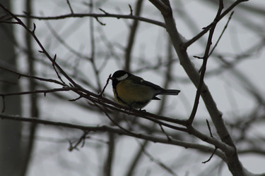 Similar image 22350463