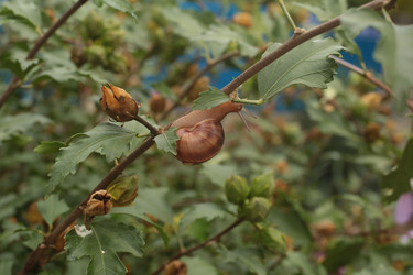 Similar image 22355142