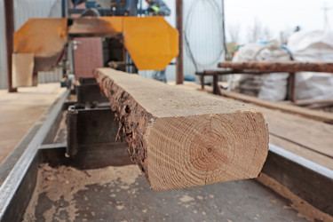 Similar image 22377910