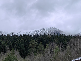 Similar image 22352969