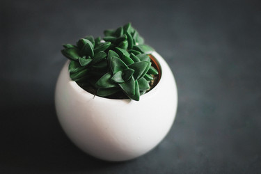 Similar image 22352715