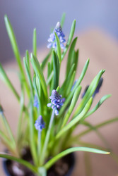 Similar image 22352716