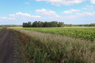 Similar image 22353048