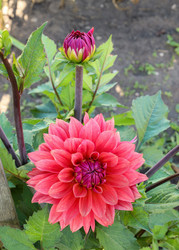 Similar image 22353049