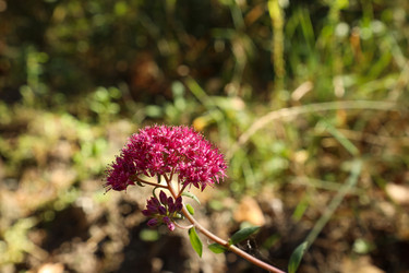 Similar image 22353050