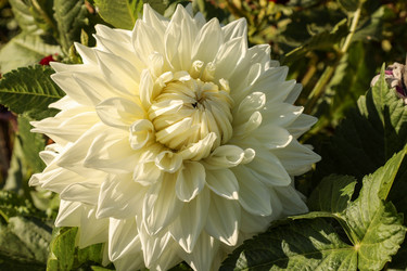 Similar image 22353053