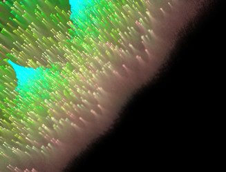 Similar image 22361083