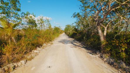 Similar image 22367443