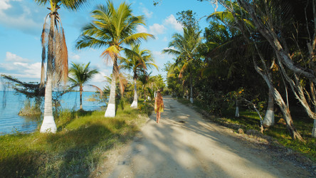 Similar image 22367447