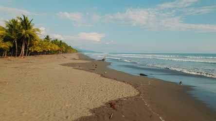 Similar image 22367479