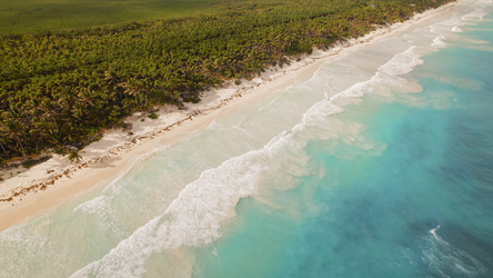 Similar image 22367484