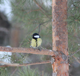 Similar image 22354449