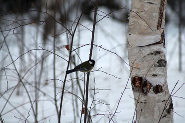 Similar image 22354450