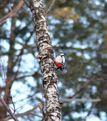 Similar image 22353809