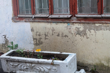 Similar image 22353177