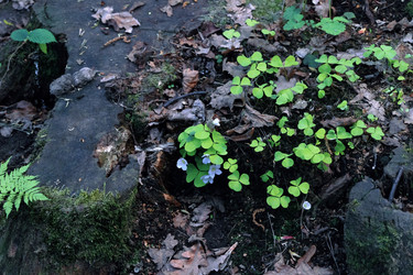 Similar image 22353183