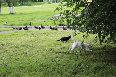 Similar image 22375014