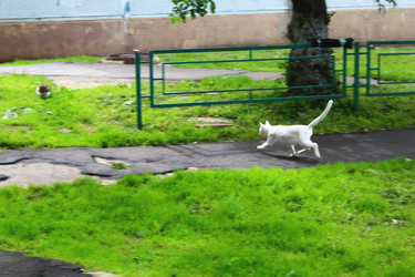 Similar image 22375015