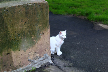 Similar image 22375016