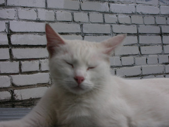 Similar image 22375017