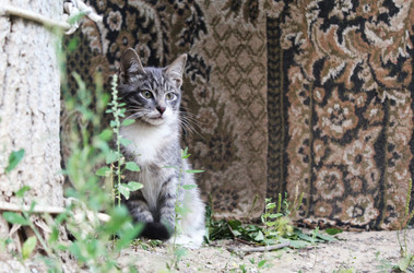 Similar image 22375029