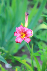 Similar image 22353208