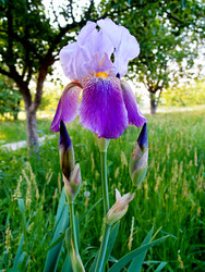 Similar image 22353211