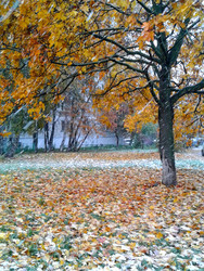 Similar image 22353214