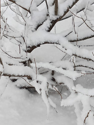 Similar image 22353216