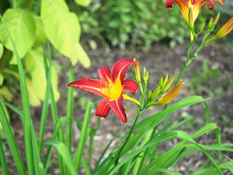 Similar image 22353223