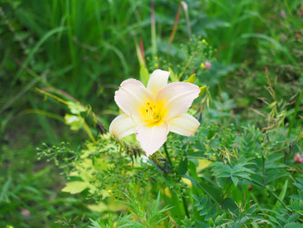 Similar image 22353225