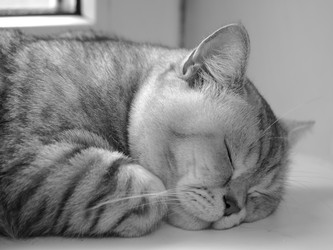 Similar image 22353229