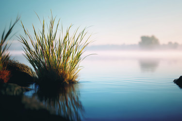 Similar image 22358205