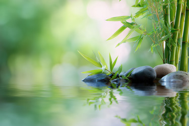 Similar image 22358212