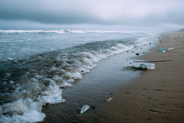 Similar image 22358214