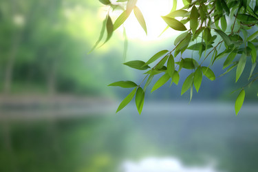 Similar image 22358217