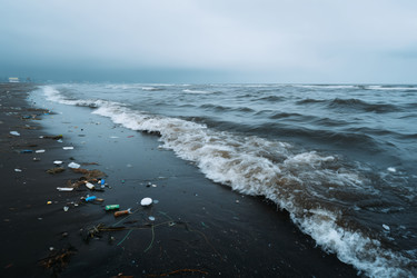 Similar image 22358232